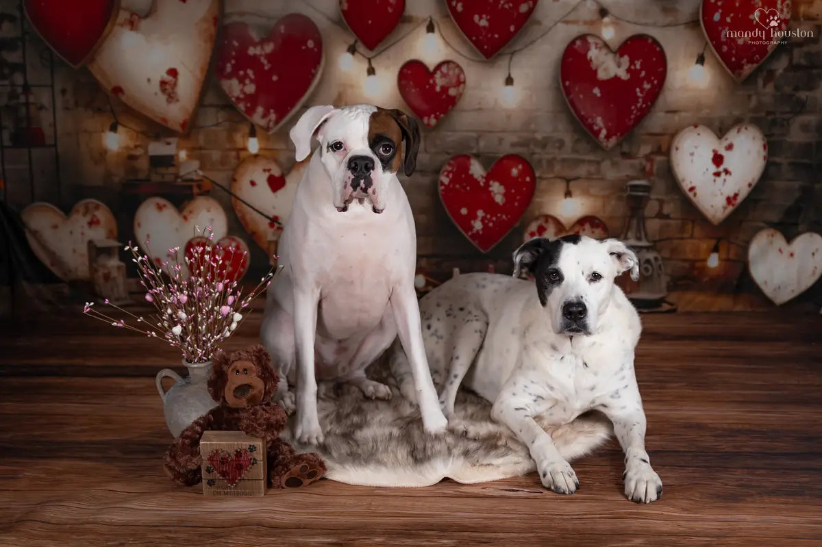 Kate Valentinstag Industrie Retro Lampe Liebe Fleece Hintergrund Entworfen von Emetselch - Kate Backdrop.de