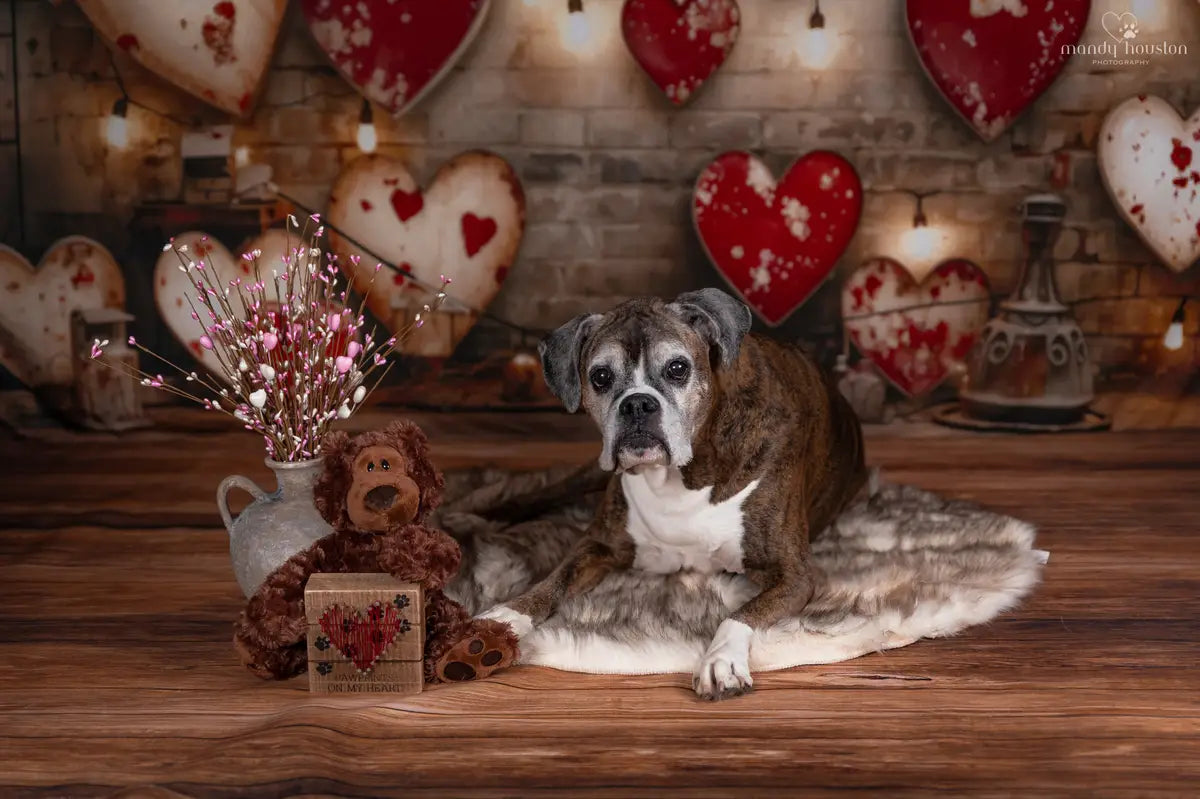 Kate Valentinstag Industrie Retro Lampe Liebe Fleece Hintergrund Entworfen von Emetselch - Kate Backdrop.de