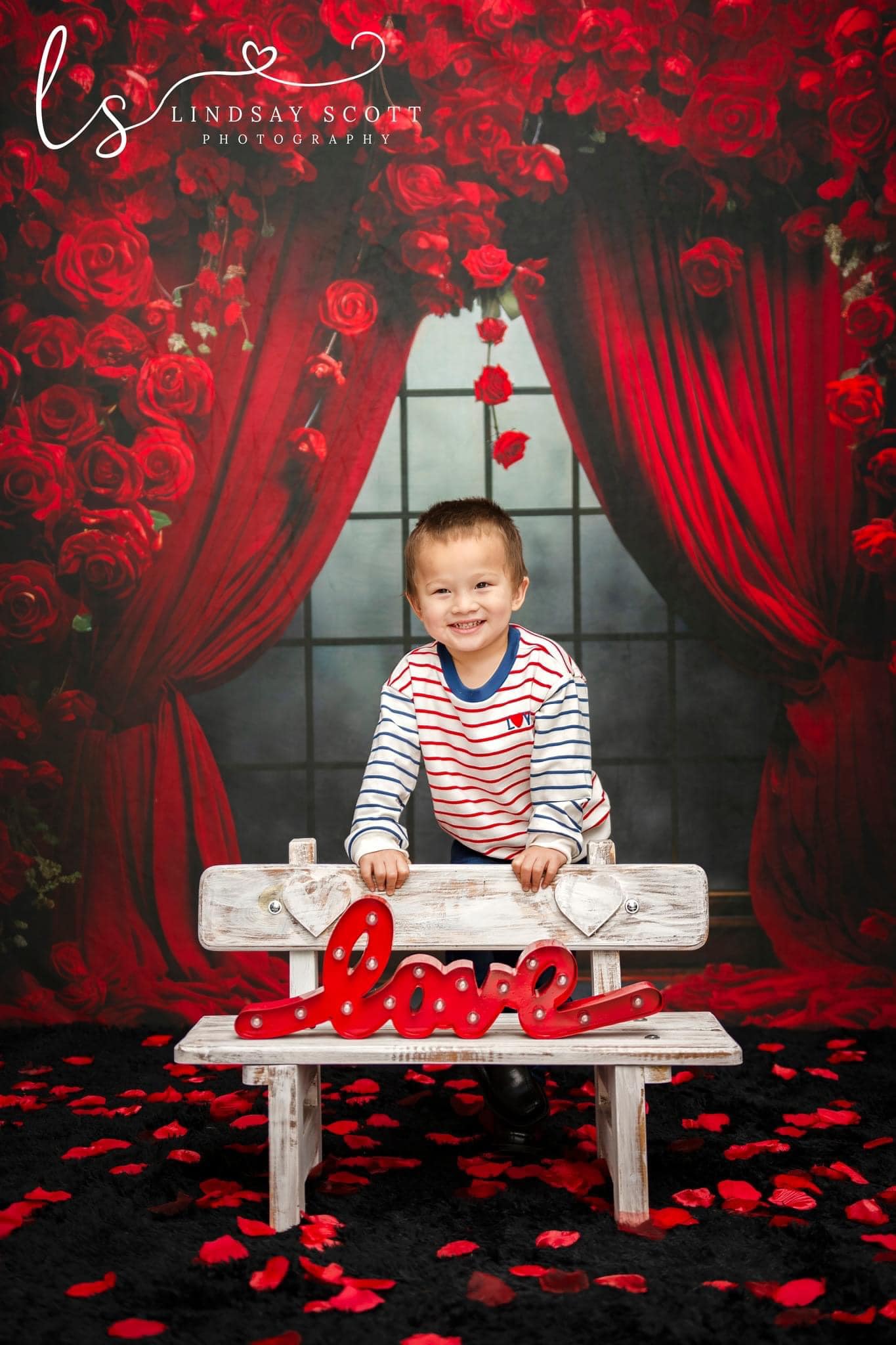 Kate Valentinstag Rosen Vorhänge Fleece Hintergrund Entworfen von Mini MakeBelieve - Kate Backdrop.de
