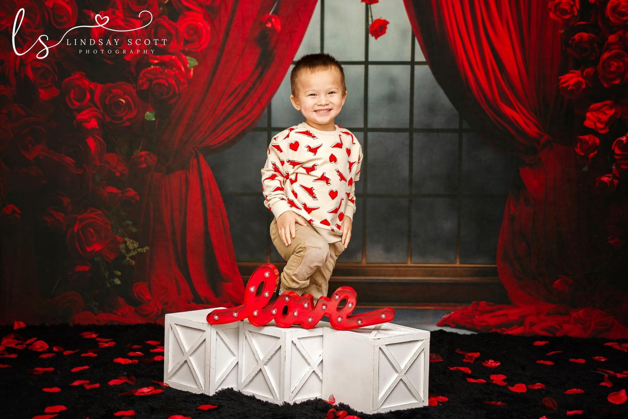 Kate Valentinstag Rosen Vorhänge Fleece Hintergrund Entworfen von Mini MakeBelieve - Kate Backdrop.de