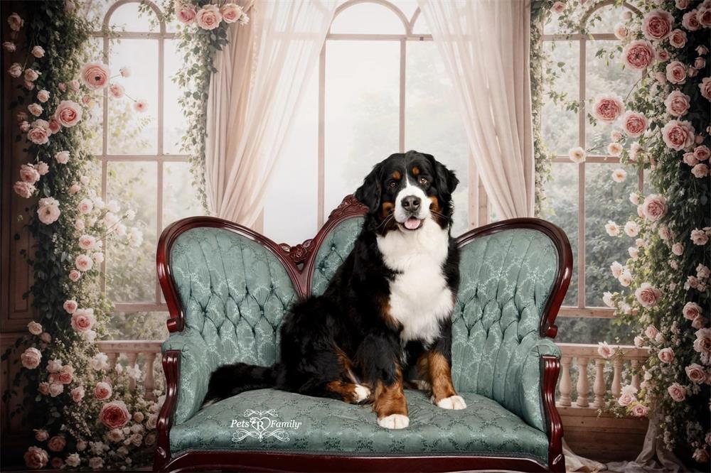 Kate Frühlingsrosen Fenster Zimmer Hintergrund entworfen von Emetselch - Kate Backdrop.de