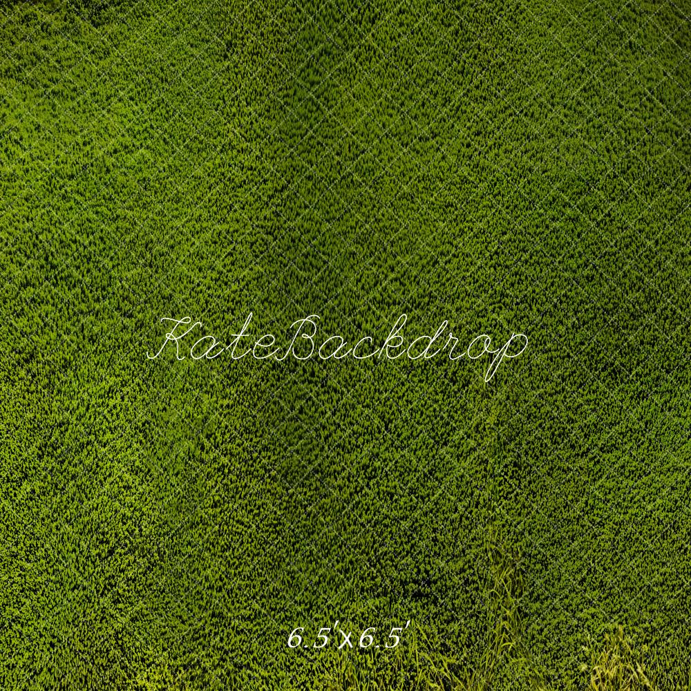 Kate Wiese Gras Textur Grün Hintergrund Entworfen von Kate Image