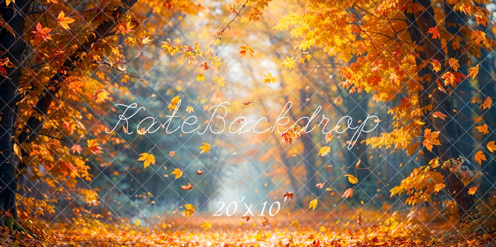 Kate Herbst Blätter Boden Sonnenlicht Hintergrund Entworfen von Emetselch - Kate Backdrop.de