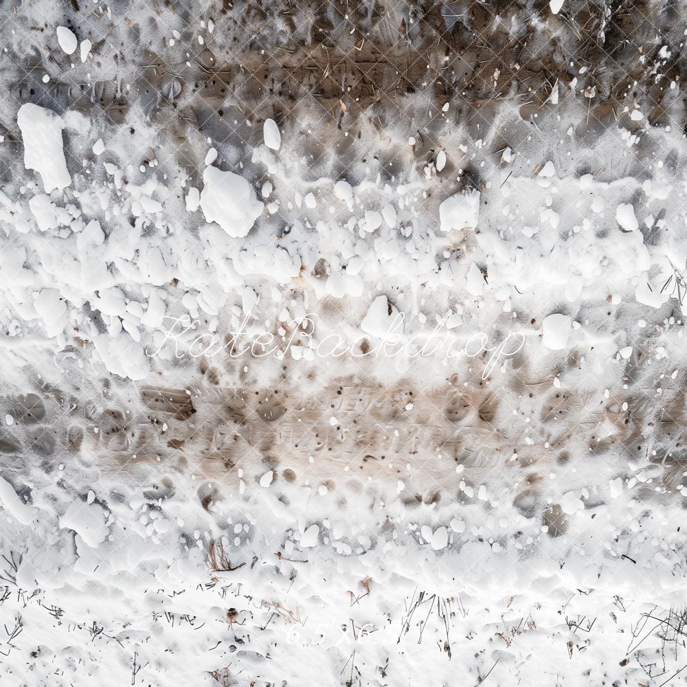 Kate Winter Schnee Boden Natur Hintergrund Entworfen von Kate Image - Kate Backdrop.de