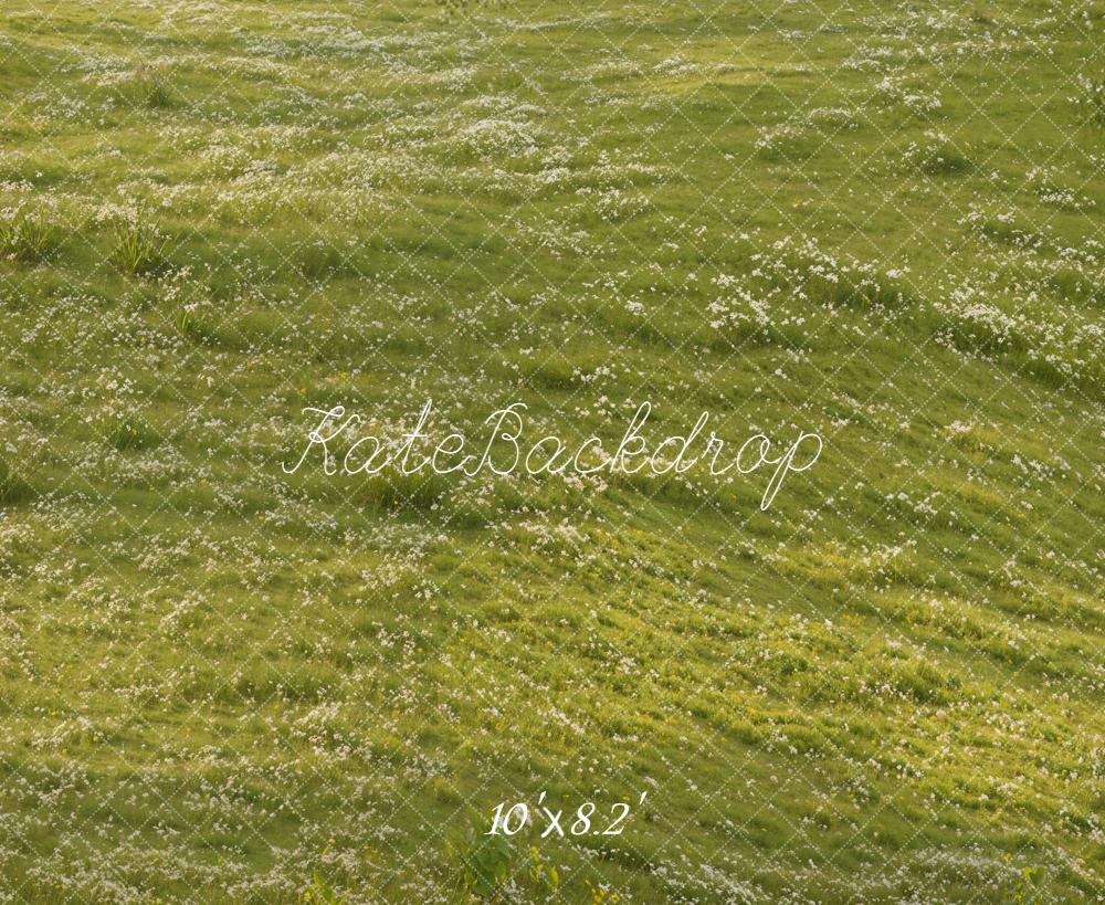Kate Wiese Kleine Blumen Grün Hintergrund Entworfen von Kate Image