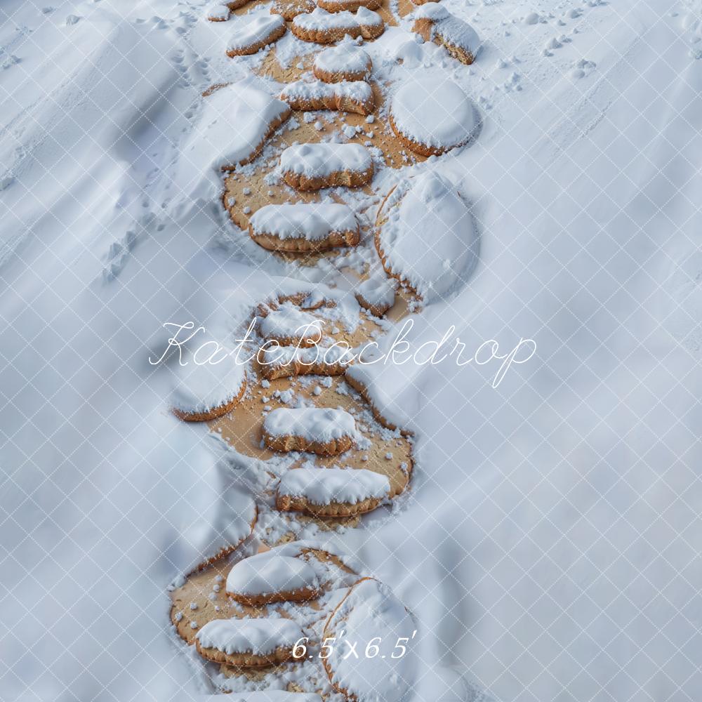Kate Winter Steinweg Schnee Weiß Hintergrund Entworfen von Kate Image - Kate Backdrop.de
