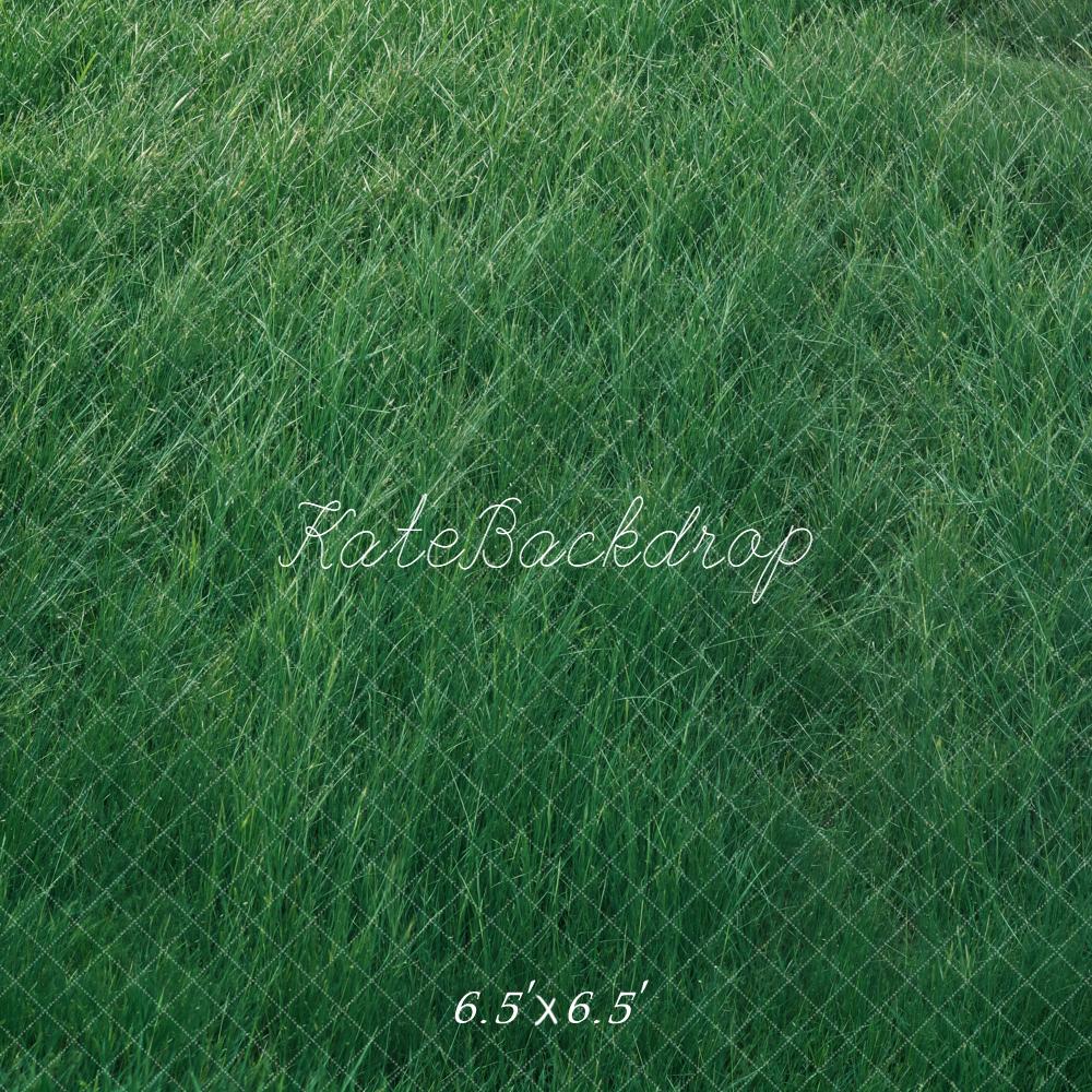 Kate Wiese Gras Grün Hintergrund Entworfen von Kate Image - Kate Backdrop.de