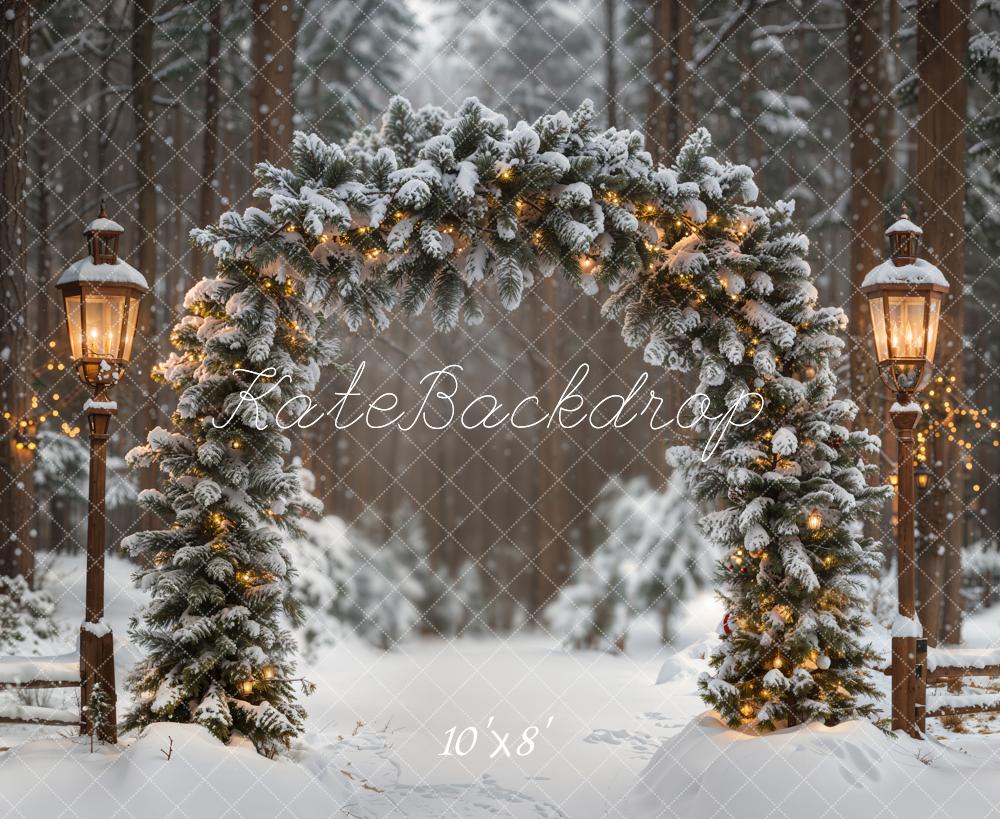 Kate Winter Blumenbogen Laternen Wald Fleece Hintergrund Entworfen von Emetselch - Kate Backdrop.de