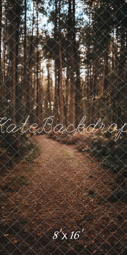 Kate Kombi Wald Weg Sonnenlicht Braun Hintergrund Entworfen von Emetselch - Kate Backdrop.de