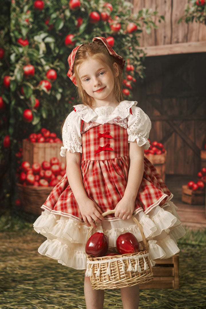 Kate Erdbeerrotes Kariertes Französisches Bankett-Kinderkleid für Fotografie - Kate Backdrop.de