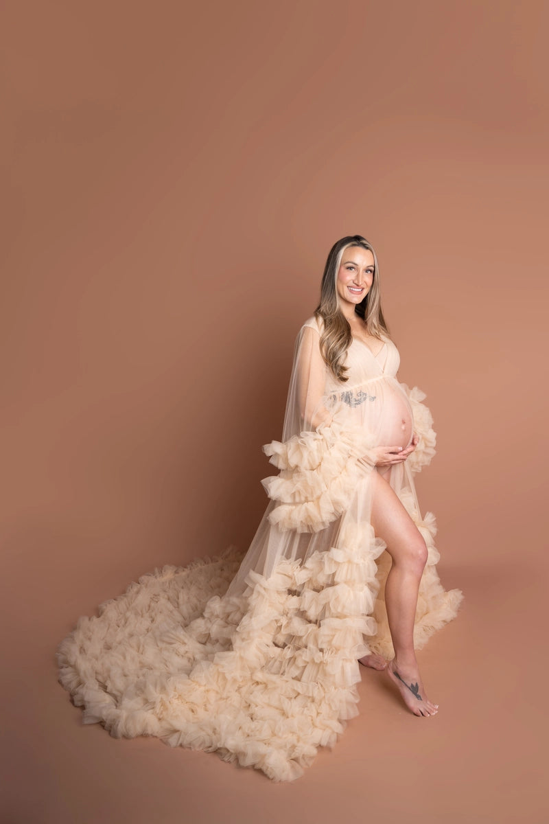 Kate Mesh V-Ausschnitt Schleppe-Mittellangarm Fotoshooting-Kleid für Schwangerschaft - Kate Backdrop.de