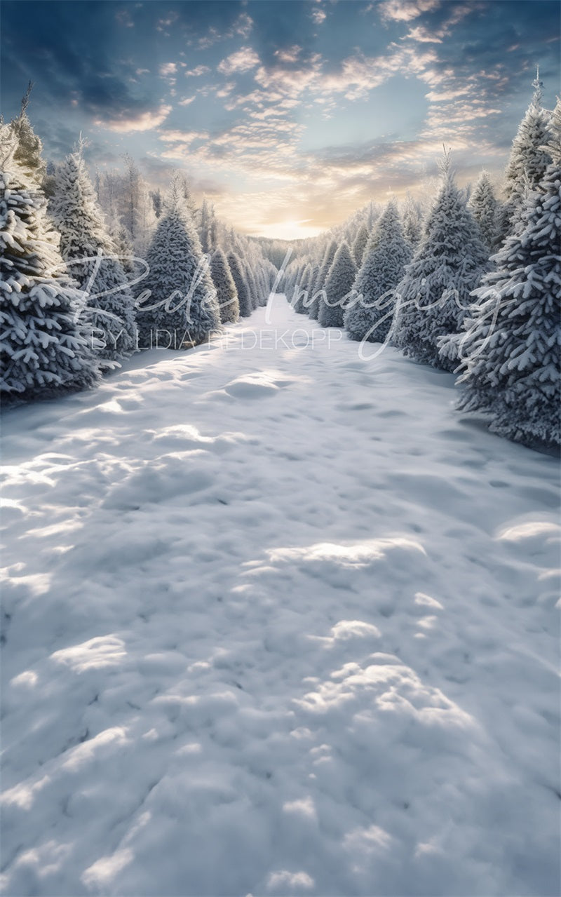 Kate Kombibackdrop Frostiger Wald Winterschnee Hintergrund für Fotografie von Lidia Redekopp