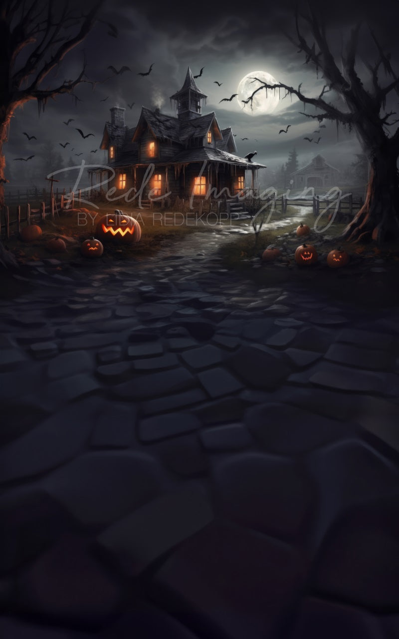 Kate Kombibackdrop Haunted House Night Halloween Licht  Hintergrund von Lidia Redekopp