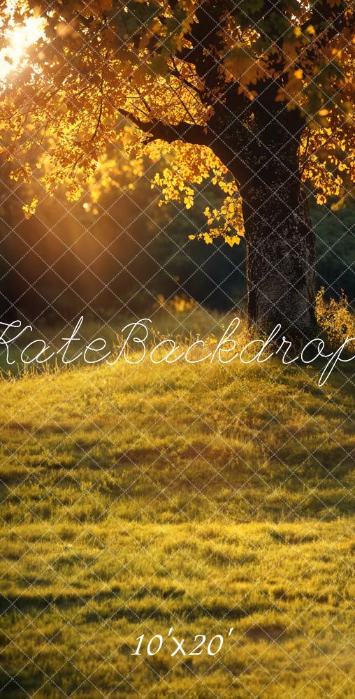 Kate Herbst Goldener Baum Kombi-Hintergrund Entworfen von Emetselch - Kate Backdrop.de