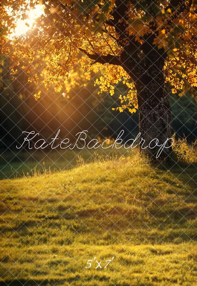 Kate Herbst Goldener Baum Kombi-Hintergrund Entworfen von Emetselch - Kate Backdrop.de