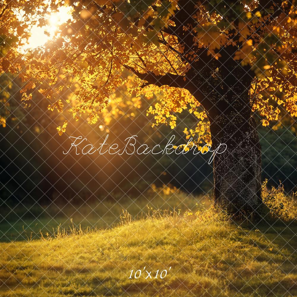 Kate Herbst Goldener Baum Kombi-Hintergrund Entworfen von Emetselch - Kate Backdrop.de