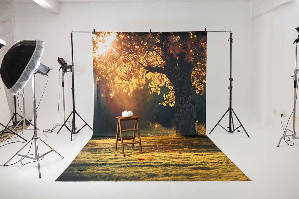 Kate Herbst Goldener Baum Kombi-Hintergrund Entworfen von Emetselch - Kate Backdrop.de