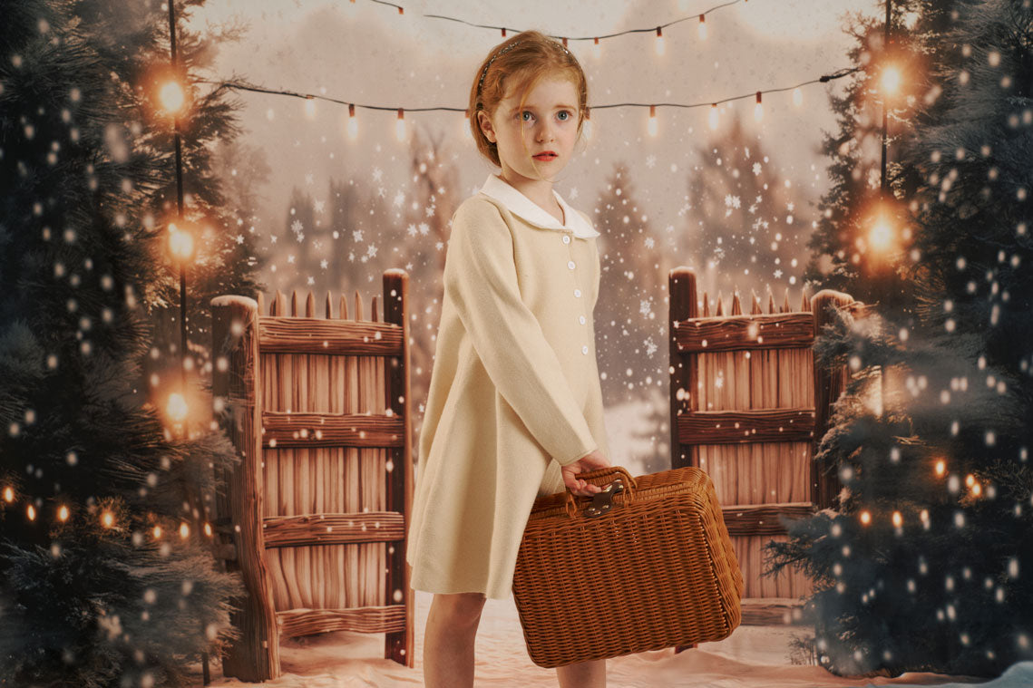 ⚡Blitzangebote-Kate Winter Lichterkette Holztor Schnee Hintergrund Entworfen von Emetselch - Kate Backdrop.de