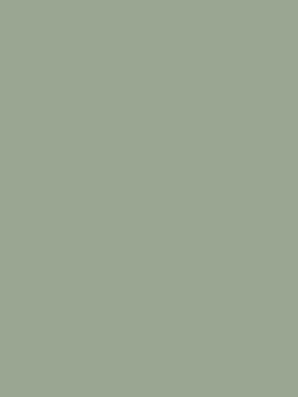 Kate Solid Grey Green Vinyl-Bodenhintergrund - Kate Backdrop.de