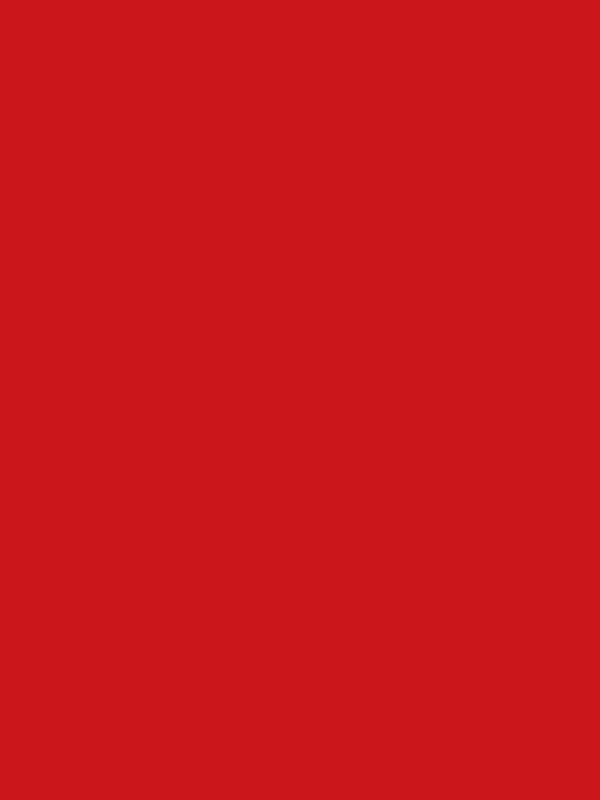 Kate Solid Venetian Red Vinyl-Bodenhintergrund - Kate Backdrop.de