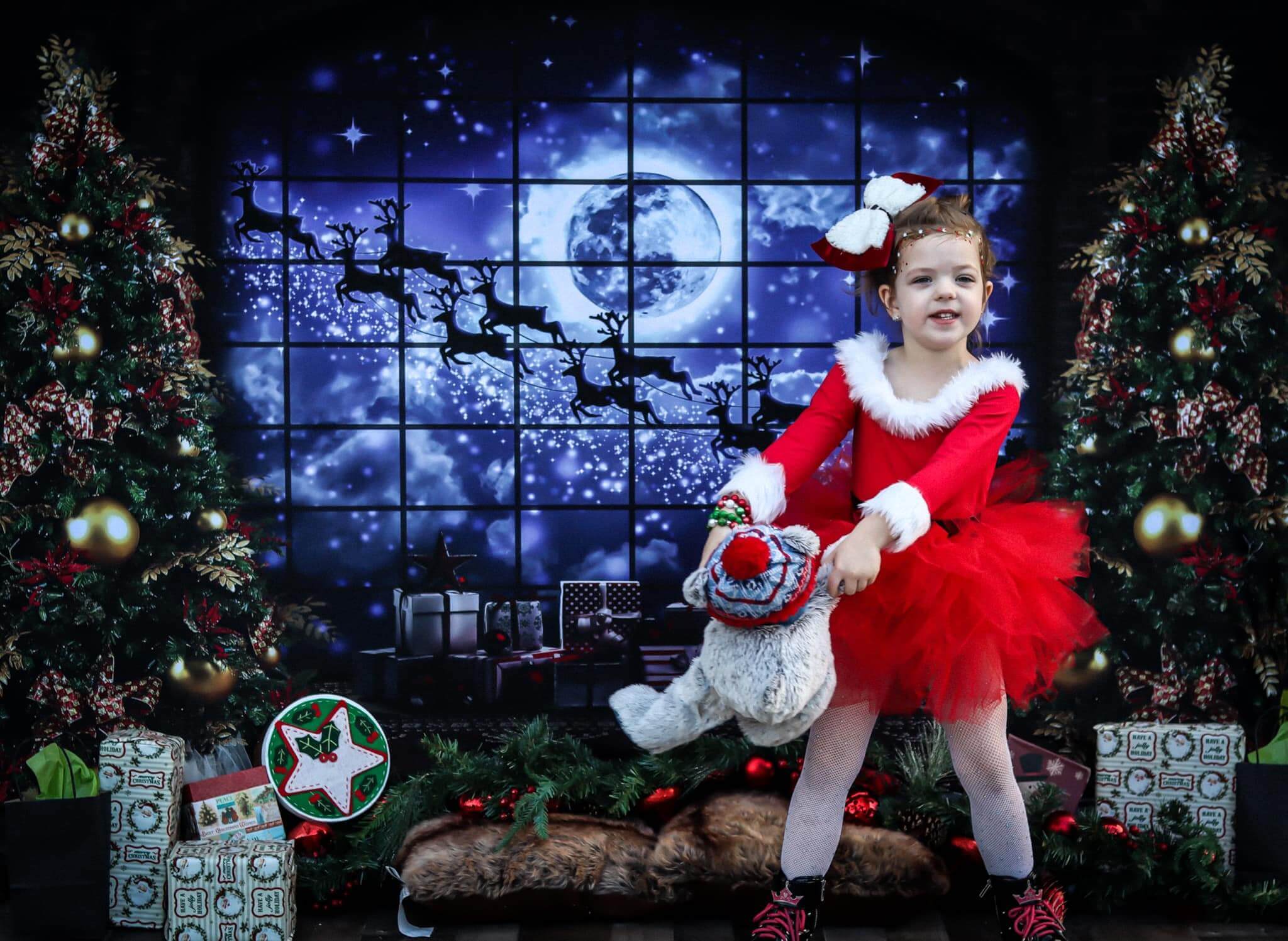 Kate Weihnachten Fenster Schlitten Hintergrund Elch für die Fotografie - Kate Backdrop.de
