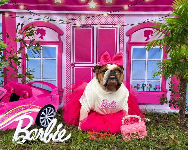 Kate barbie rosa haus hintergrund shop von Chain Photography