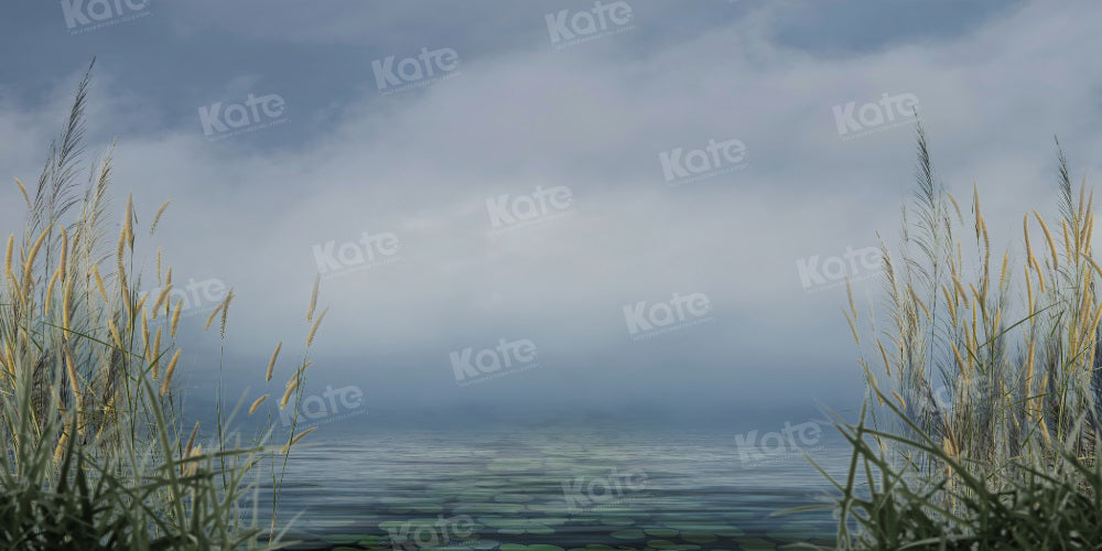 Kate Sommer Hintergrund Schilf Bewölkter Himmel See für Fotografie - Kate Backdrop.de