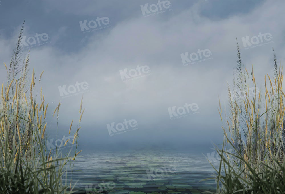 Kate Sommer Hintergrund Schilf Bewölkter Himmel See für Fotografie - Kate Backdrop.de
