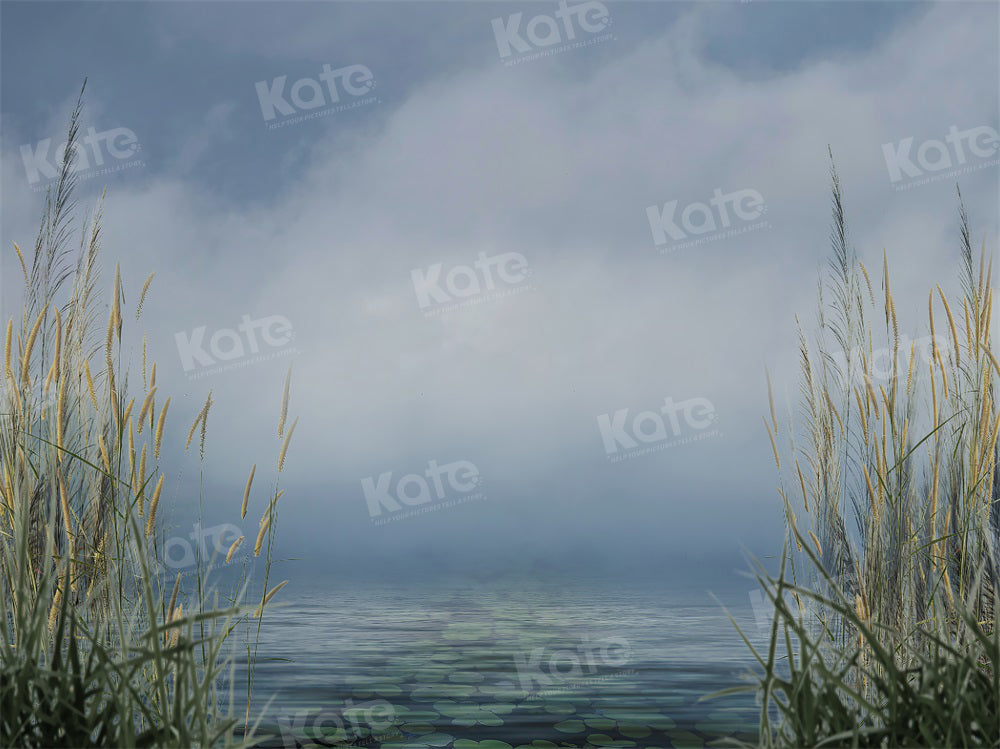 Kate Sommer Hintergrund Schilf Bewölkter Himmel See für Fotografie - Kate Backdrop.de