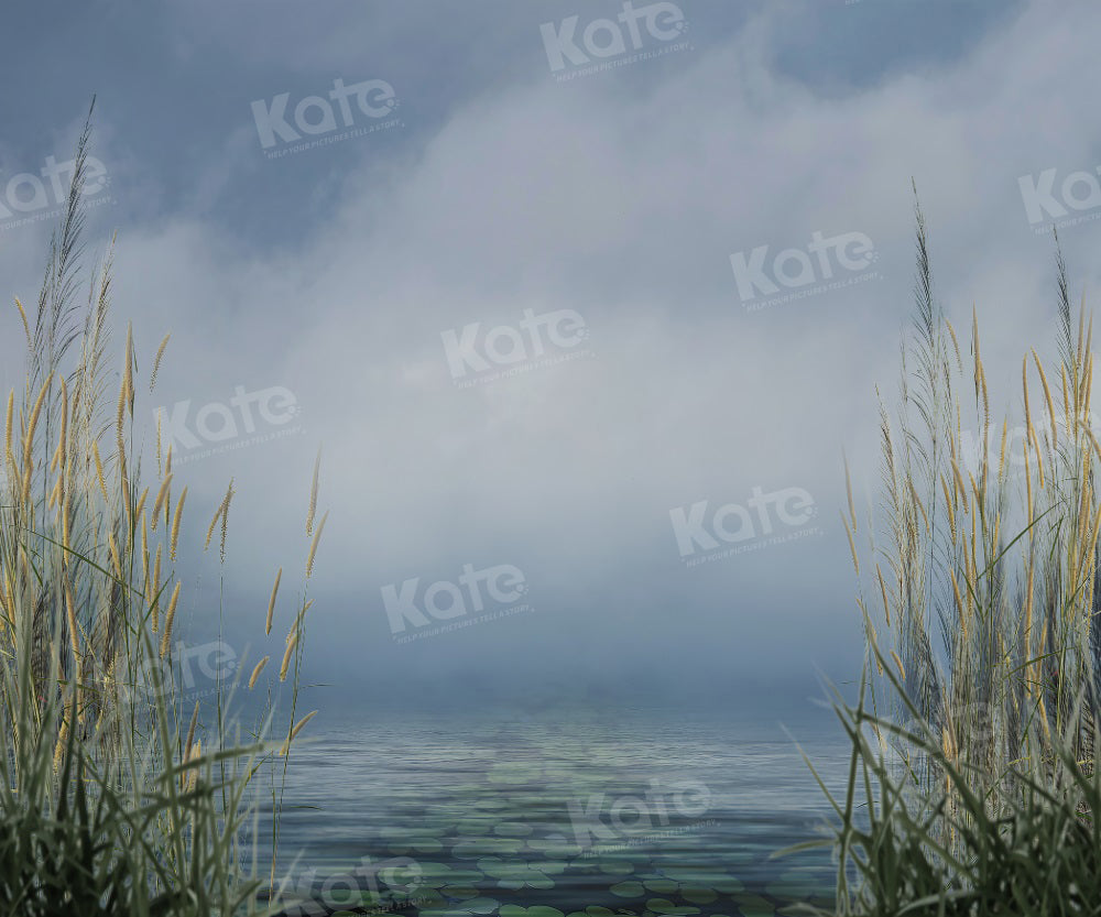 Kate Sommer Hintergrund Schilf Bewölkter Himmel See für Fotografie - Kate Backdrop.de