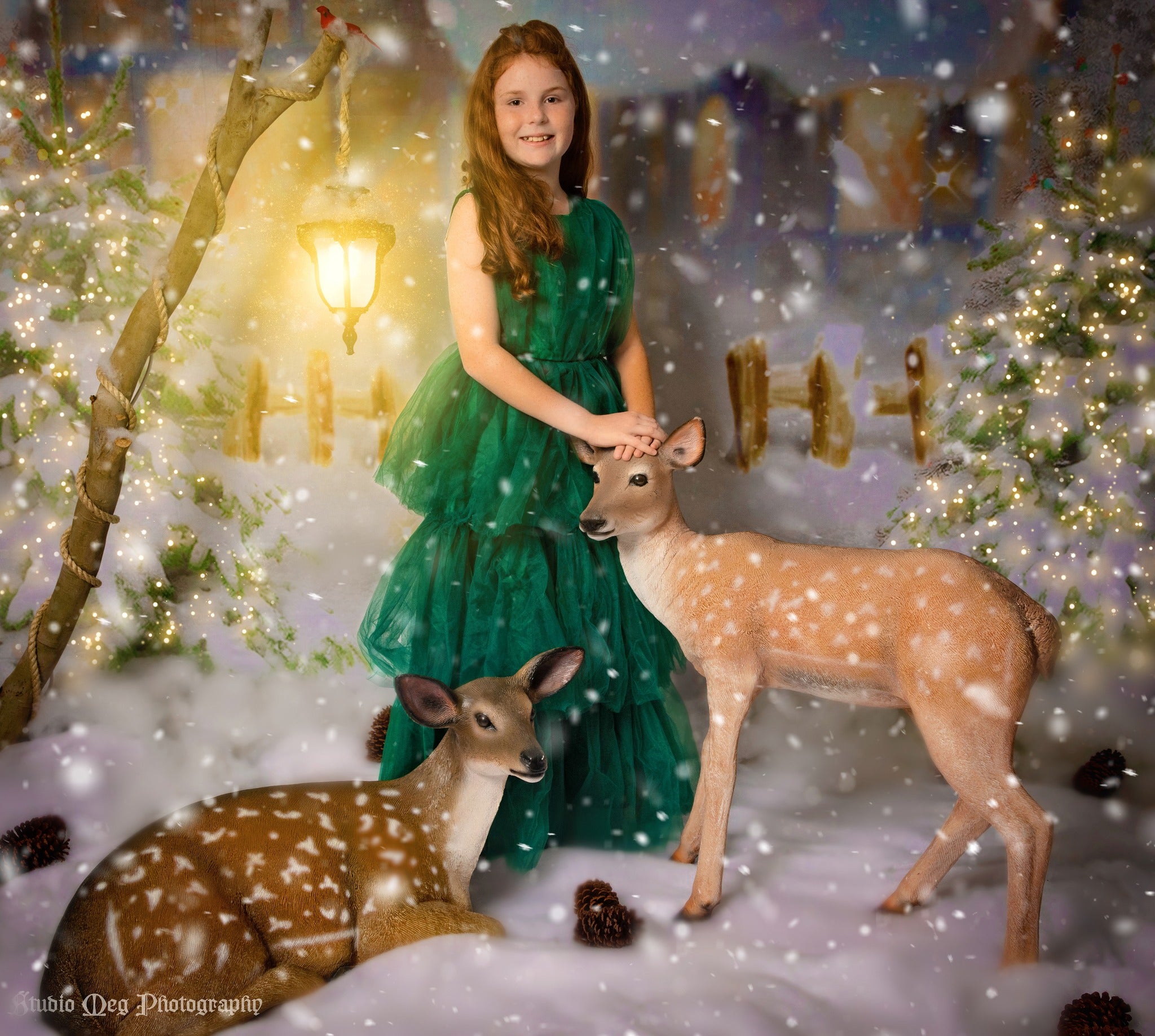 Kate Weihnachten Hintergrund Schnee Haus Baum für Fotografie