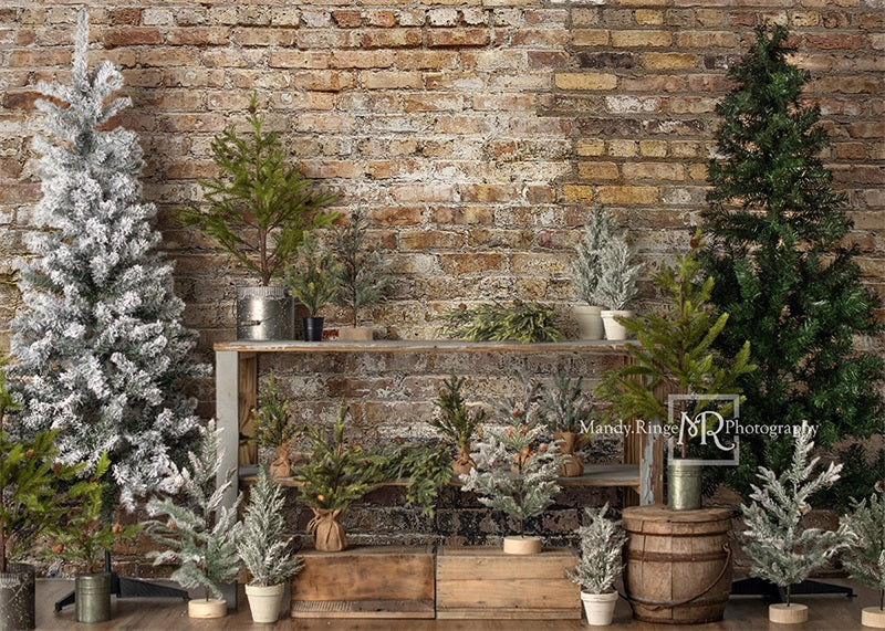 Kate Einfacher Hintergrund für einen Weihnachten ständer von Mandy Ringe Photography - Kate Backdrop.de