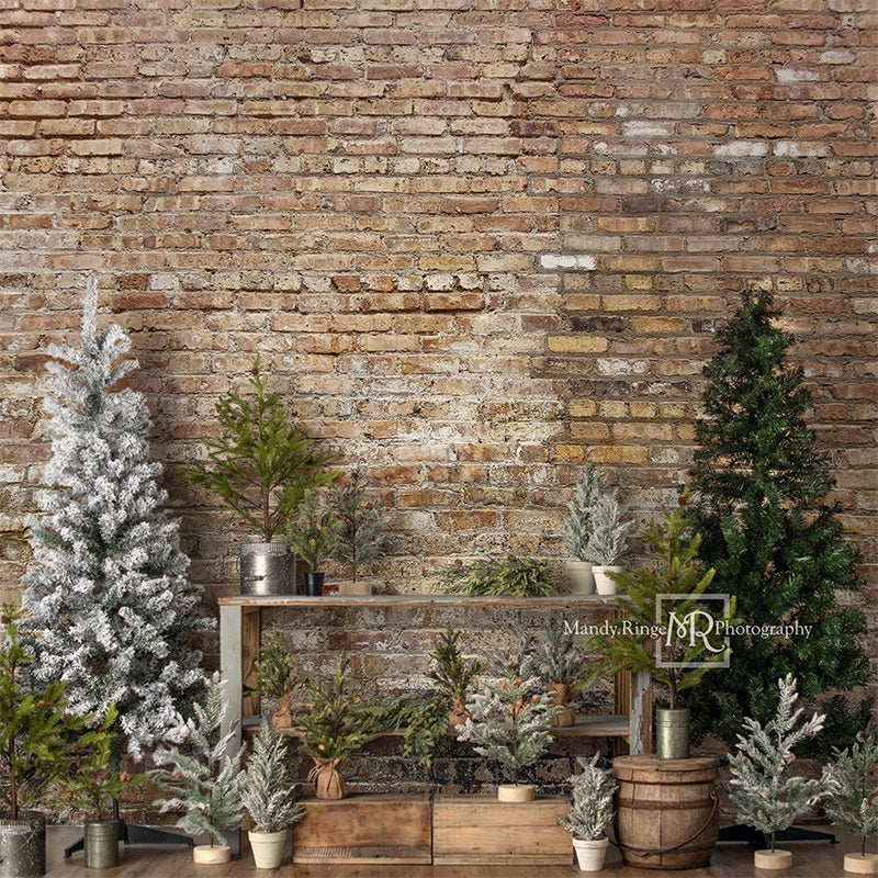 Kate Einfacher Hintergrund für einen Weihnachten ständer von Mandy Ringe Photography - Kate Backdrop.de