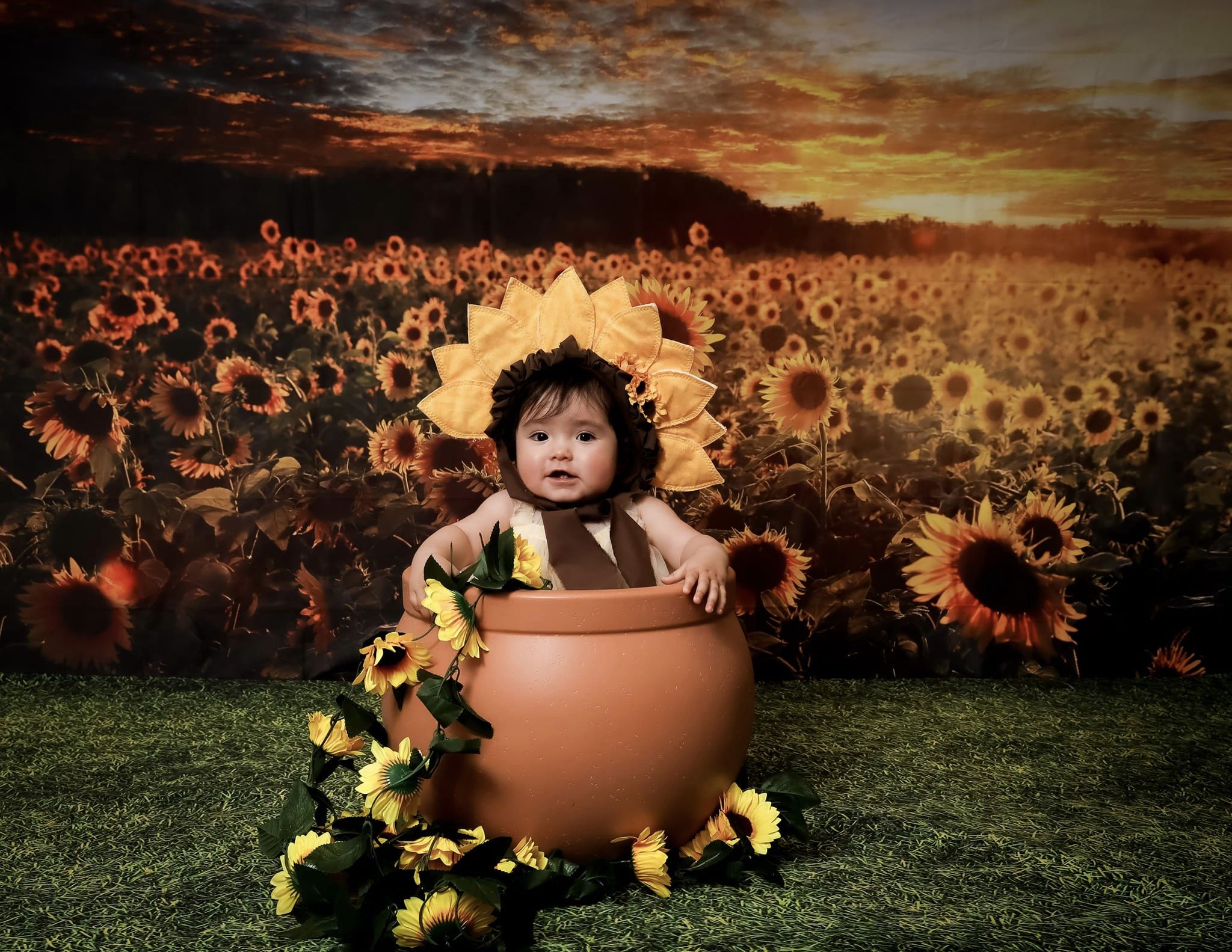 Kate Sommer/Herbst Hintergrund Sonnenblumen Sonnenuntergang von Chain Photography - Kate Backdrop.de
