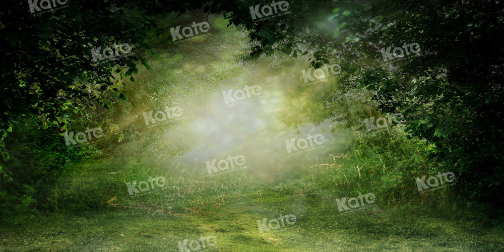 Kate Frühling Grün Dschungel Wald Hintergrund von Chain Photography