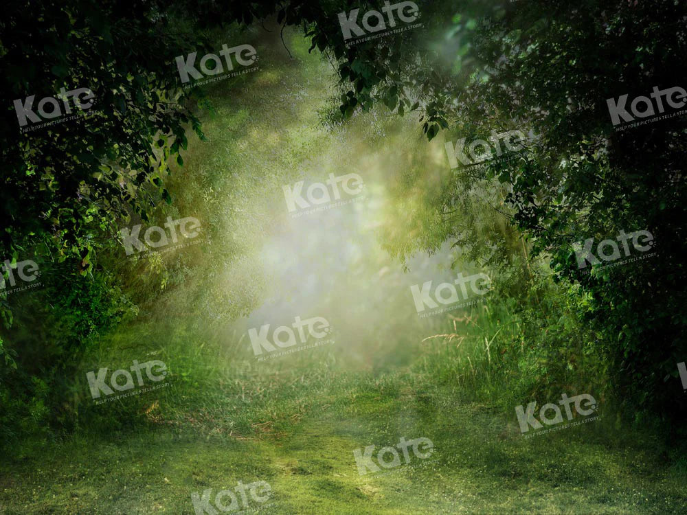 Kate Frühling Grün Dschungel Wald Hintergrund von Chain Photography