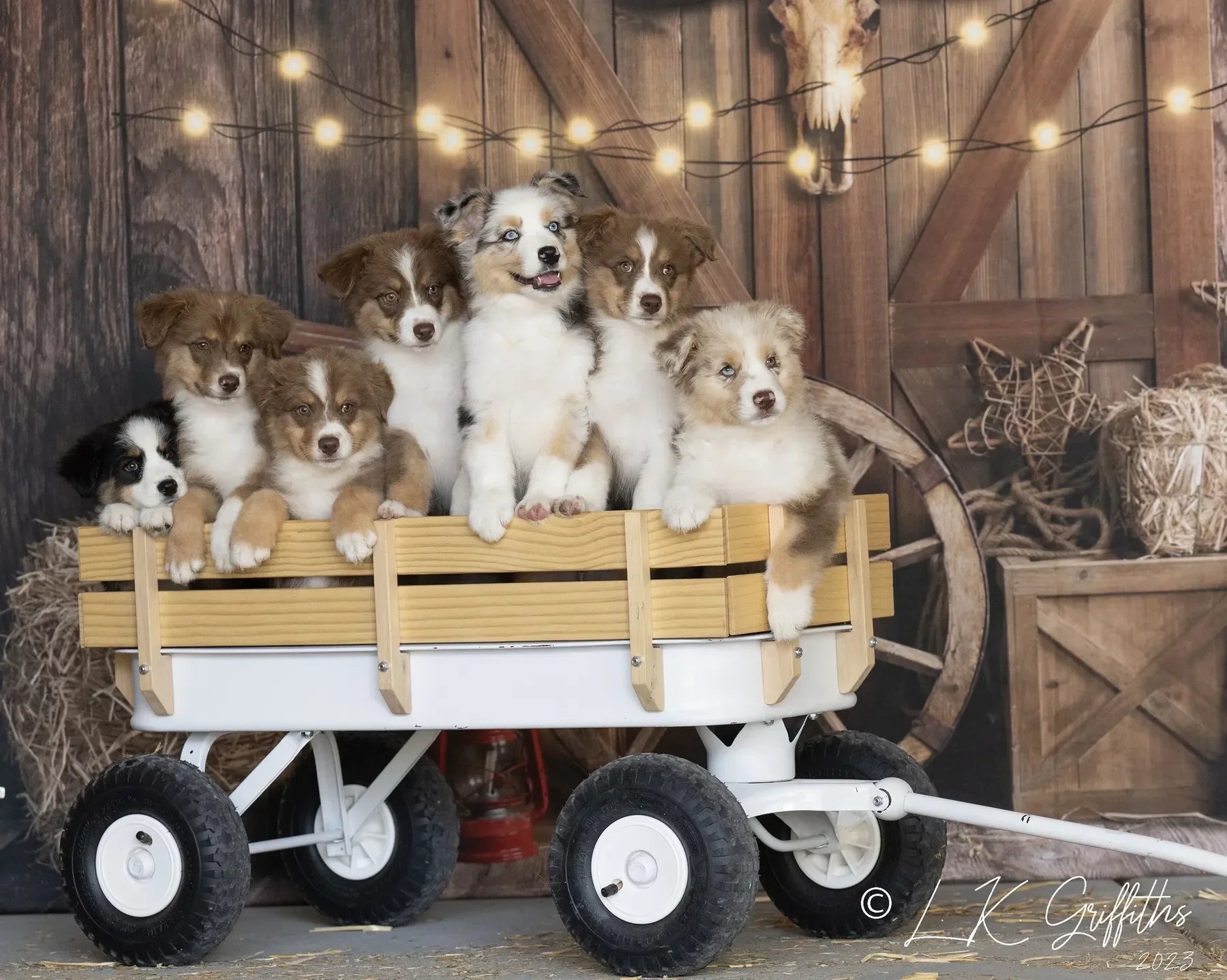 Kate Cowboy Bauernhof Hintergrund entworfen von Emetselch - Kate Backdrop.de