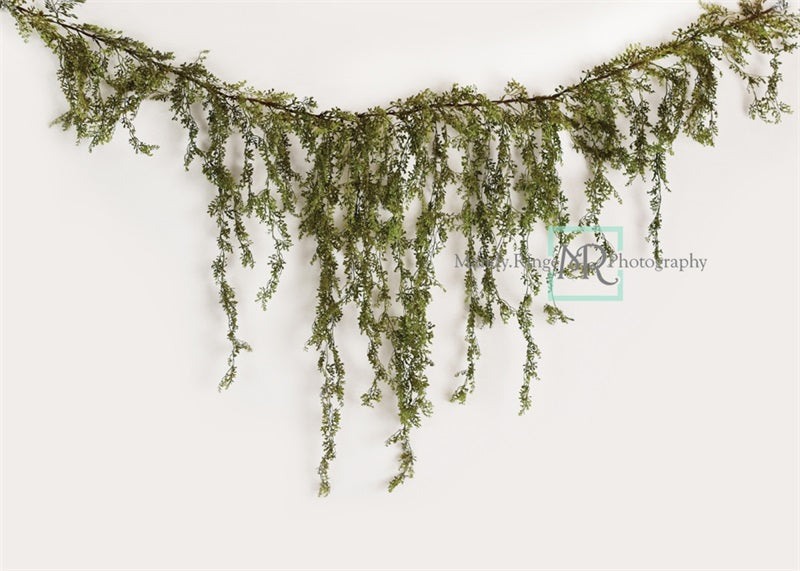 Kate Frühling/Sommer Rebengirlande auf weißem Hintergrund von Mandy Ringe Photography - Kate Backdrop.de