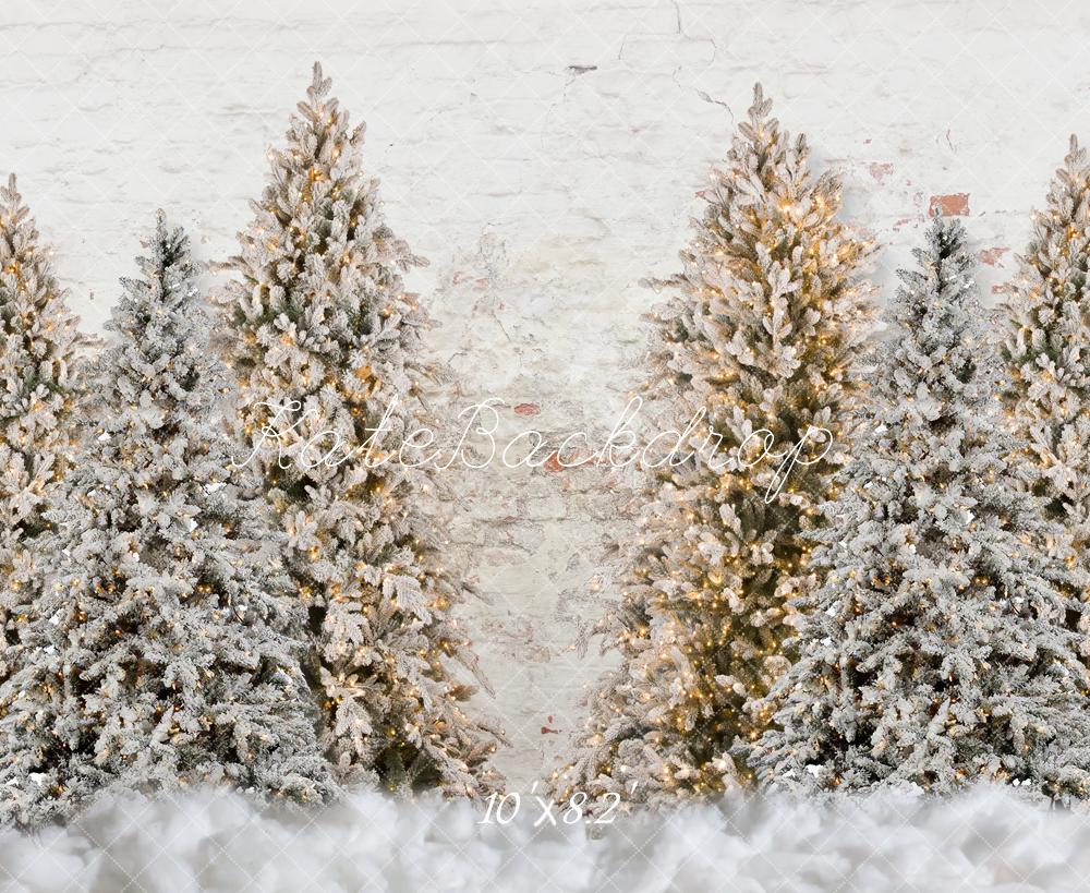 Kate Weihnachten Verschneiter Garten Wand Hintergrund für Fotografie - Kate Backdrop.de