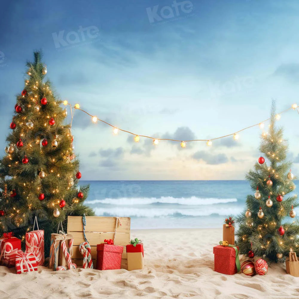 Kate Weihnachten Strand Meer Hintergrund von Chain Photography