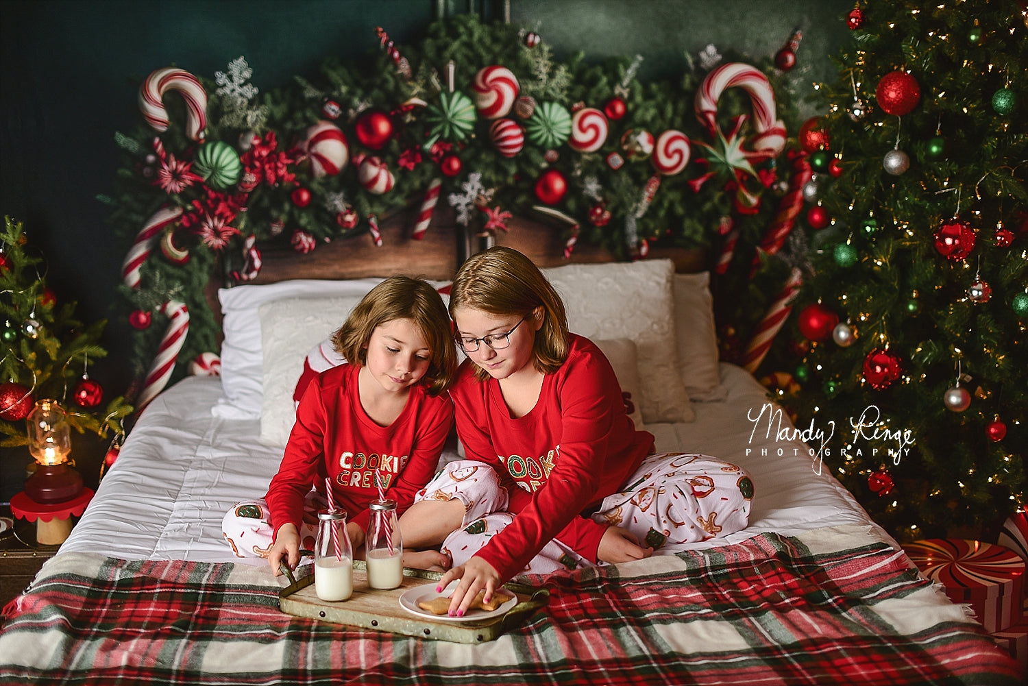 Kate Weihnachten Candy Cane Kopfteil Hintergrund von Mandy Ringe Fotograf