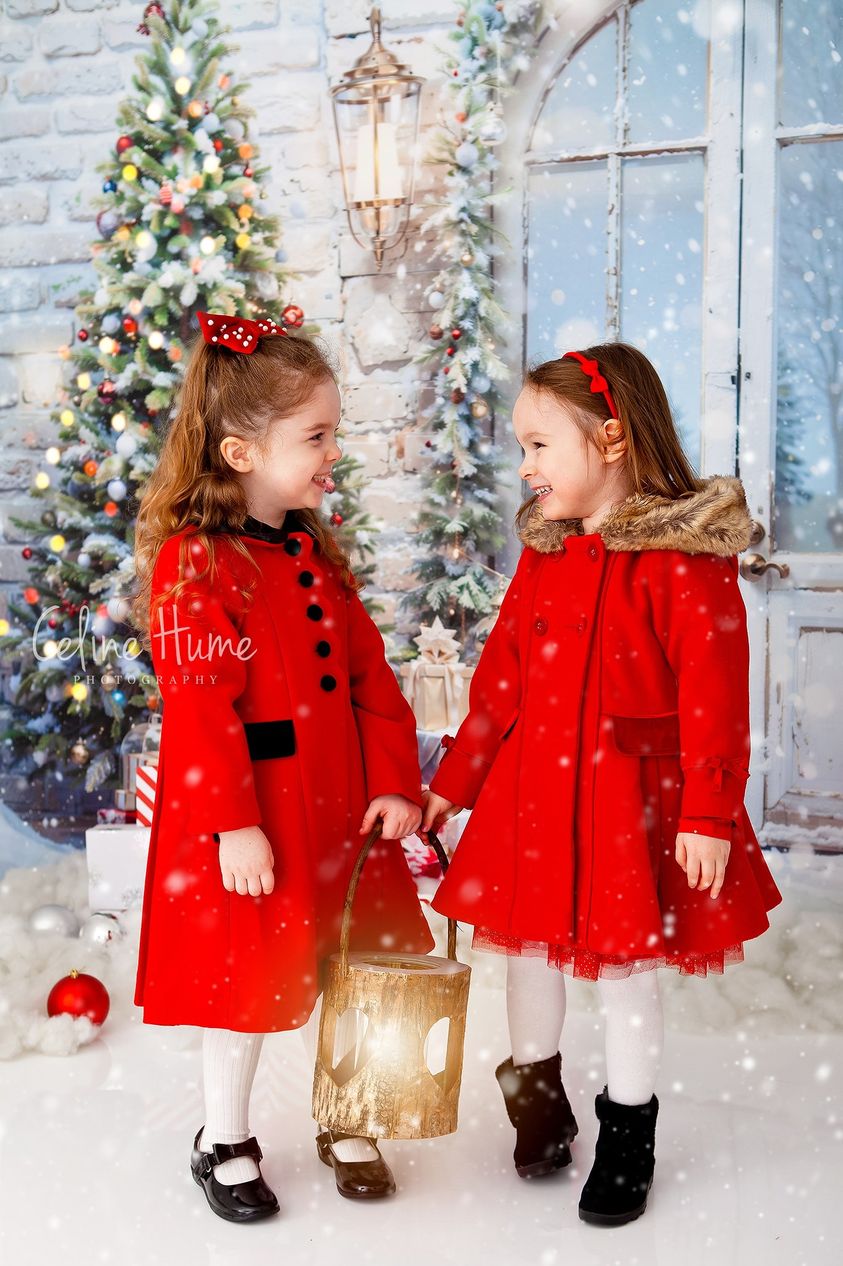 Kate Weihnachten Schnee Baum Tür Hintergrund von Emetselch - Kate Backdrop.de