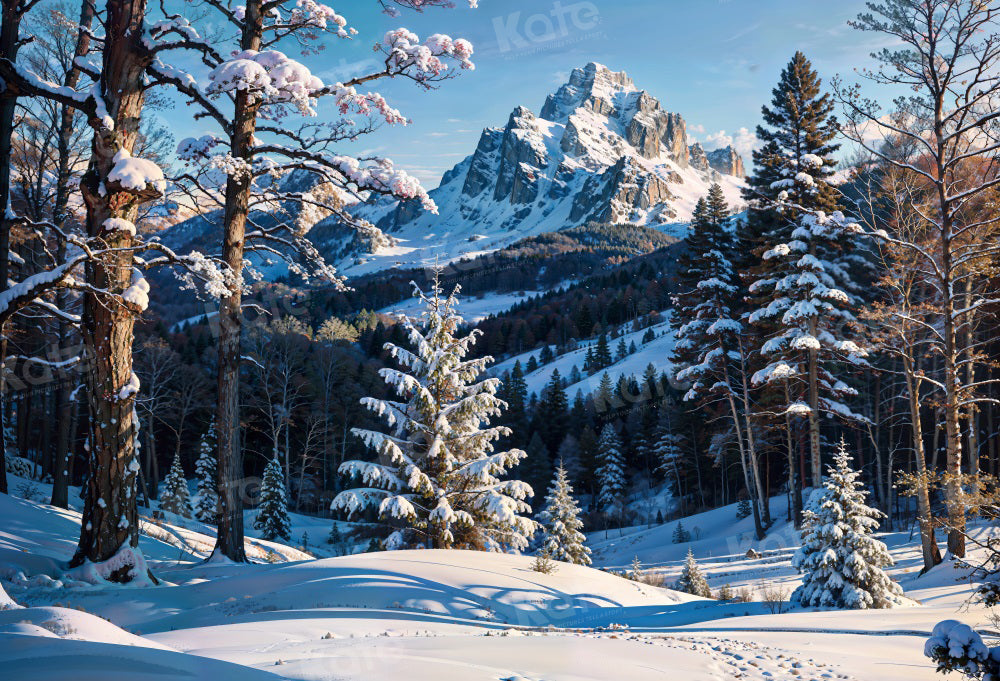 Kate Winter Schnee Berg im Freien Hintergrund für die Fotografie - Kate Backdrop.de