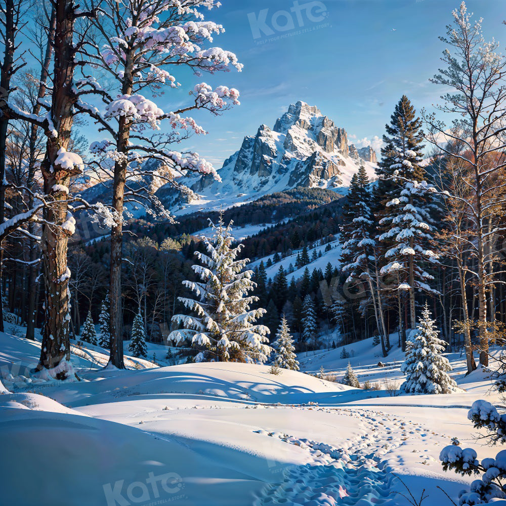 Kate Winter Schnee Berg im Freien Hintergrund für die Fotografie - Kate Backdrop.de