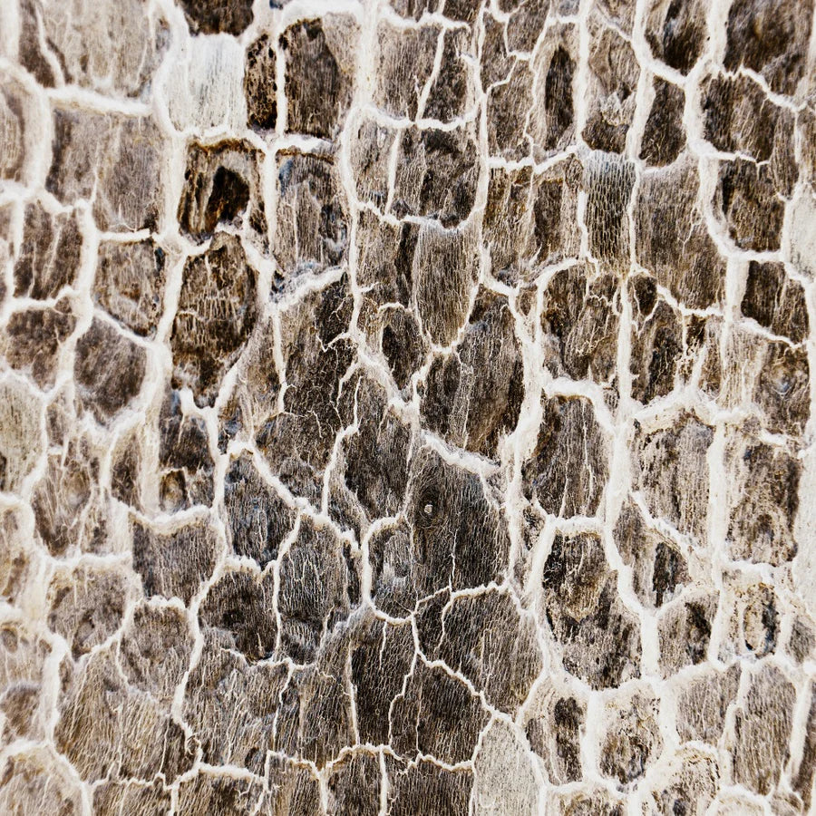 Kate Abstrakte Stein Textur Hintergrund für die Fotografie
