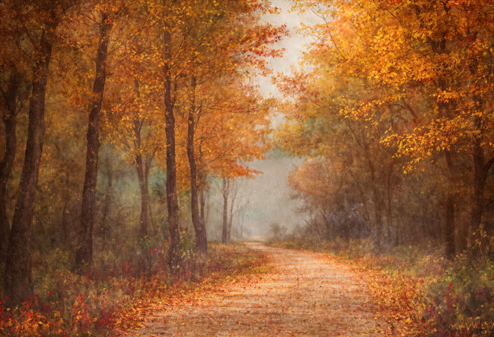Kate Herbst Golden Leaves Path Wald Hintergrund für Fotografie