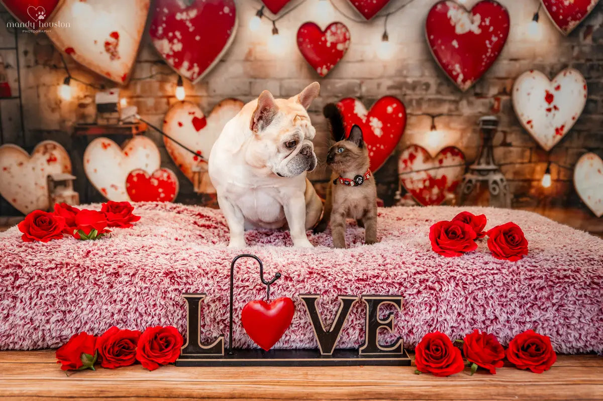 Kate Valentinstag Industrie Retro Lampe Liebe Fleece Hintergrund Entworfen von Emetselch - Kate Backdrop.de
