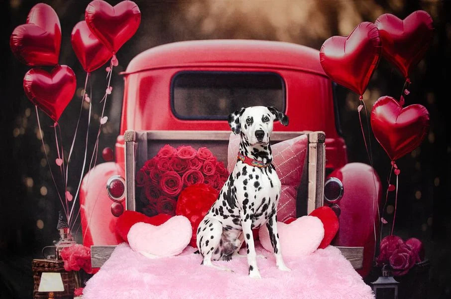 Kate Valentinstag Liebe Ballon Truck Fleece Hintergrund Entworfen von Chain Photography - Kate Backdrop.de