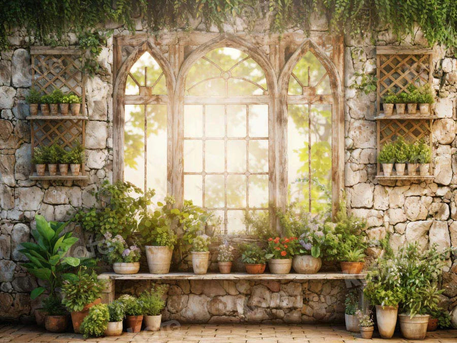 Kate Frühling Grüne Pflanzen Sonniges Fenster Hintergrund Von Chain Photography