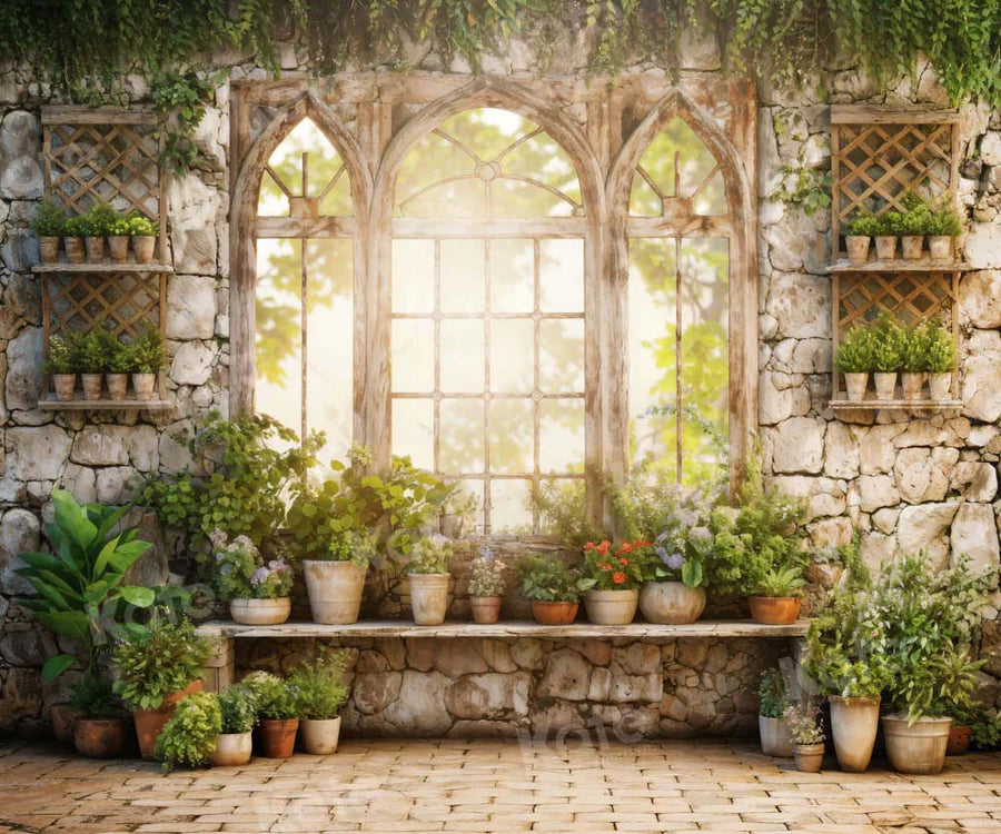 Kate Frühling Grüne Pflanzen Sonniges Fenster Hintergrund Von Chain Photography
